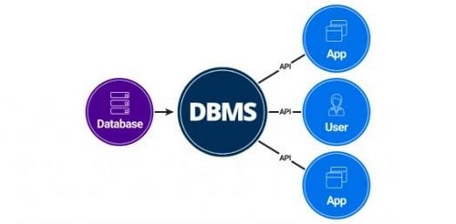 سیستم مدیریت DBMS