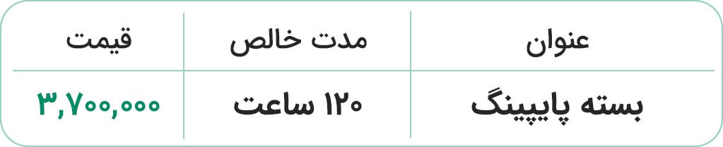قیمت بسته پایپینگ نماتک قیمت بسته پایپینگ نماتک