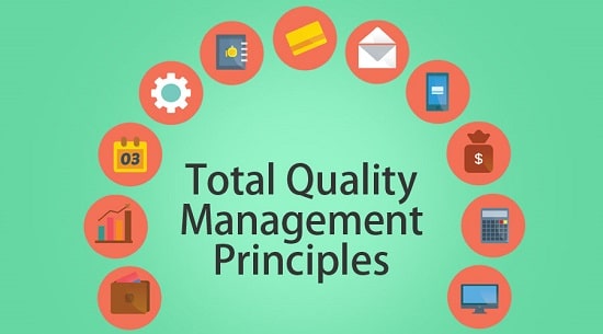 مدیریت کیفیت فراگیر یا TQM/ مشتری
