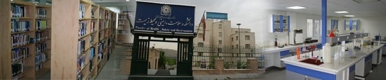 دانشگاه های hse در ایران