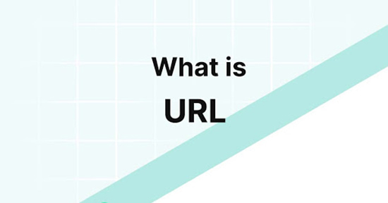آدرس اینترنتی یا URL چیست
