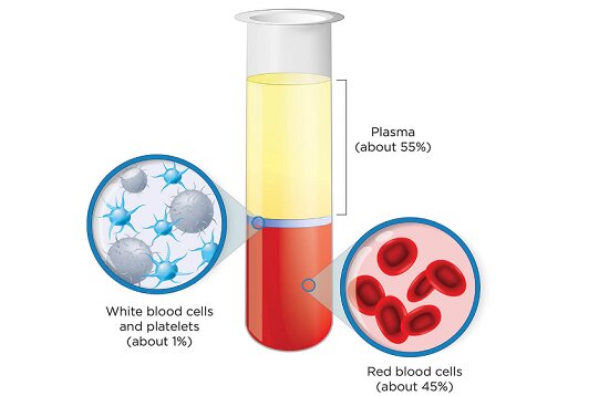 اجزای خون (2)