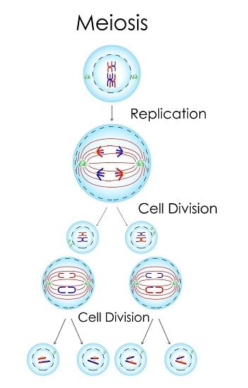 میوز سلول