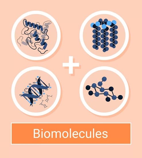 مولکول های زیستی