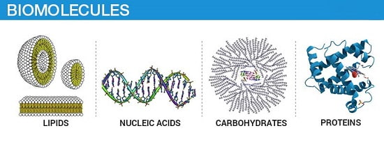 چهار نوع اصلی مولکول های زیستی