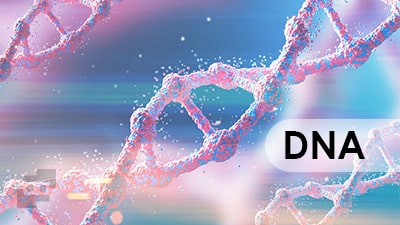 DNA چیست
