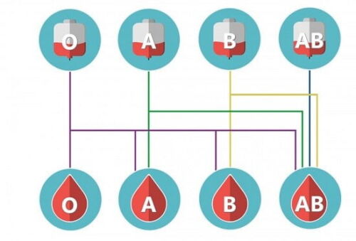 انواع گروه خونی شناخت 8 نوع گروه خونی