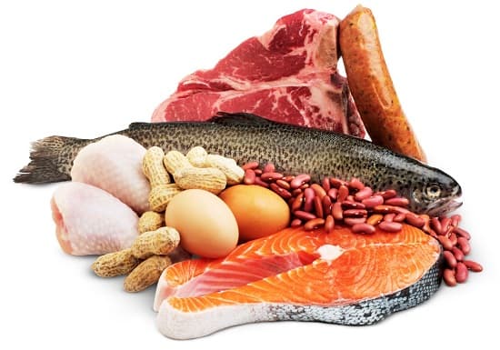 گوشت و پروتئین هرم مواد غذایی