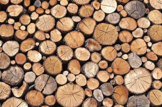 تفاوت بین چوبهای نرم و سخت